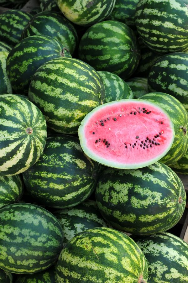 Red watermelon